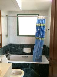 Palm Gardens (D23), Condominium #109549652